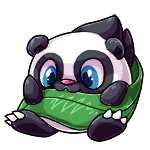 Xoi panda