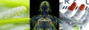 Marathon asset 2.png (1.45 MB)