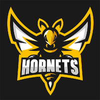 Hornets Logo