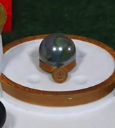 Shimmer after getting bronze in the Sand Rally (2021)