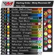 The starting line-up for the race.