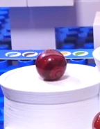 RazzyFunnelSpinning2019.png (166 KB) Razzy after winning silver in Funnel Race (2019)