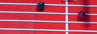 WuspyHurdles2020