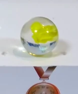 YellowEye.png (67 KB) Yellow Eye placing third in the Ski Jump (2018)