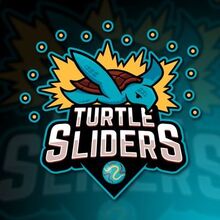 Turtle Sliders Logo