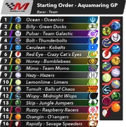 The starting line-up for the race.