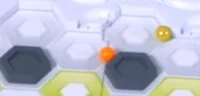 Mandarin getting stuck on the wall in  