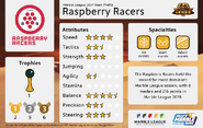 RaspberryRacersTPML21