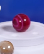 Rozzy after winning bronze in Dirt Race (2019)