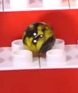 Bombay, Green Ducks' coach.