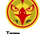 Team Phoenix