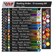 The starting line-up for the race.