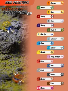 The starting line-up for the race.