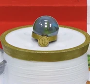 Shimmer after winning gold in the Sand Rally (2022)