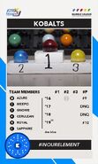 Team Profile 2020