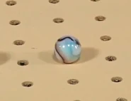 Glide, former team member and current coach of the Gliding Glaciers.