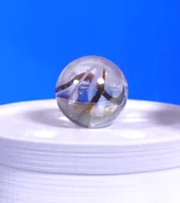 Cosmo winning silver in the Sand Rally (2019)