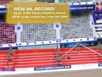 YellowEyeMRHurdles2020