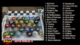 Race 3 2016 SMR starting grid