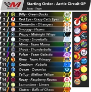 The starting line-up for the race.