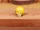 Yeller