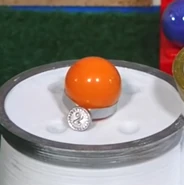 Kinnowin after getting 2nd in Marblocross in ML 2021