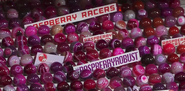 RaspberryRacersFans2021