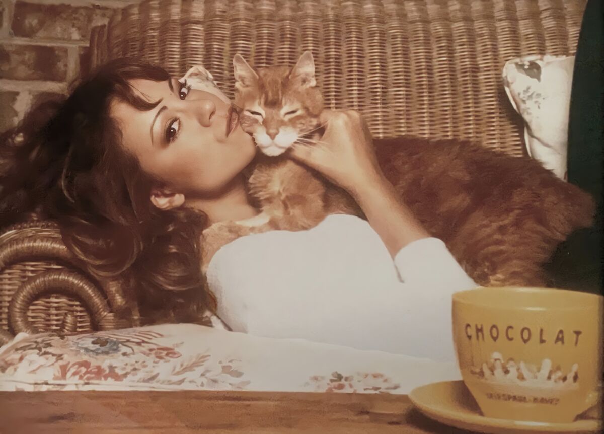 Morris Mariah Carey Wiki Fandom