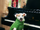 Mutley