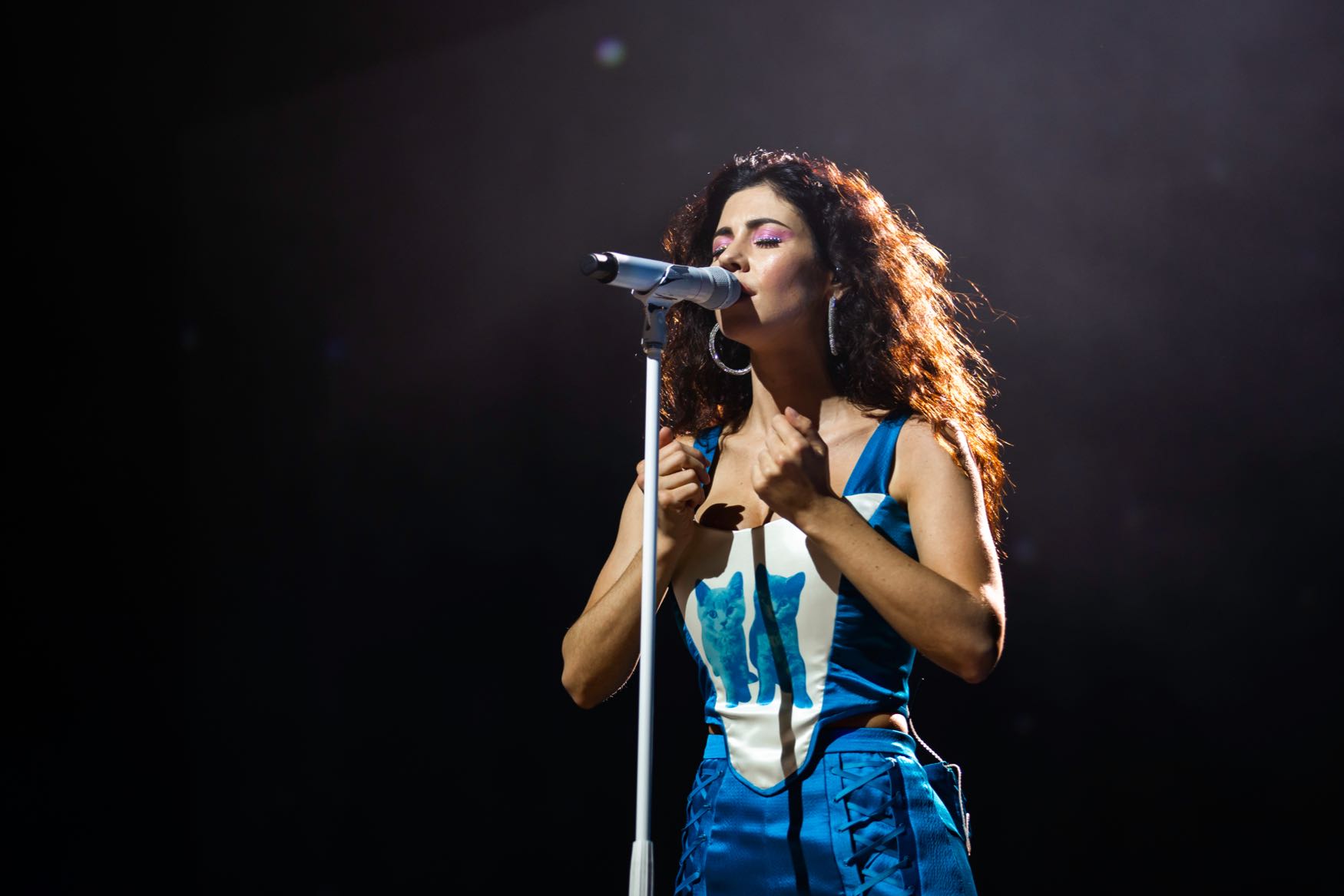 marina and the diamonds биография