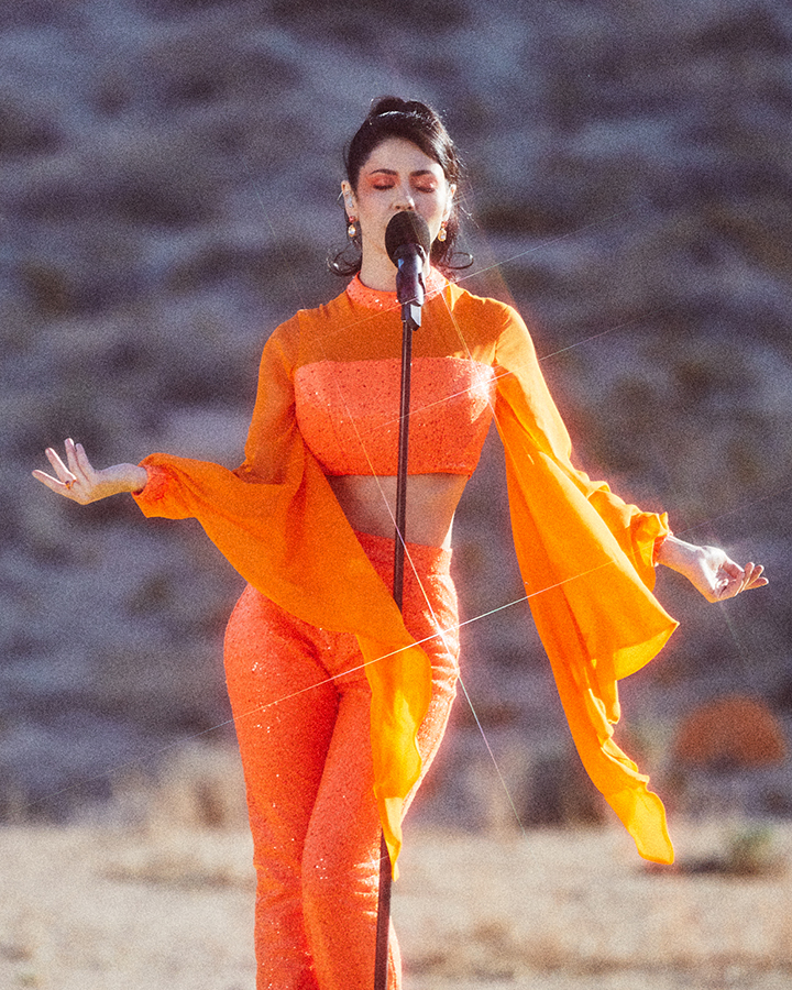 marina and the diamonds биография