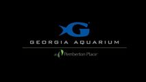 Georgia Aquarium