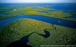 Everglades-national-park39s-mangrove-forests