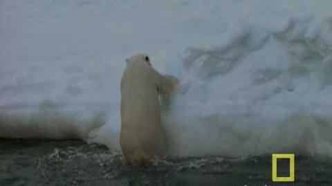 Exploring Oceans Arctic