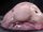 Blobfish.jpg