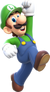 Luigi (SSB-TCF)
