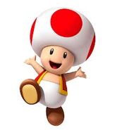 Toad NSBF