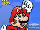 Super Mario Bros. 4