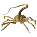 Facehugger png by manoluv-d58hazw