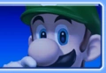 MKAGP2 Screenshot Luigi Icon