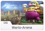 DS Wario-Arena