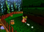 DK64 Screenshot Wunder Wald Donkey Kongs Bananenmünzen 1