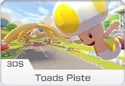 MK8D Icon Toads Piste