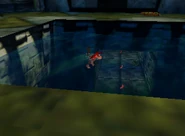 DK64 Screenshot Azteken Arena Diddy Kong Bananen 4.png (61 KB) Donkey Kong 64