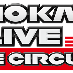 Mario Kart Live: Home Circuit, MarioWiki