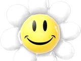 Smiley Flower
