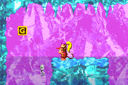 DKC2GBA Screenshot Clappers Höhle 3