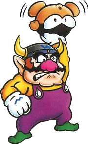 WLSML3WarioTaureau-GoomyPirate