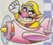 M&W-Wario