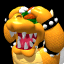 Bowser Having lost in vs mode or Grand Prix